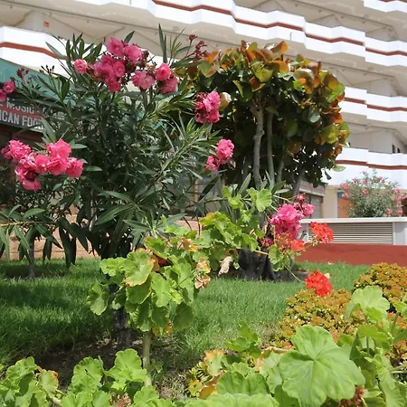 Agaete Parque: Vista Piscina * 普拉亚戴尔雷安格莱斯