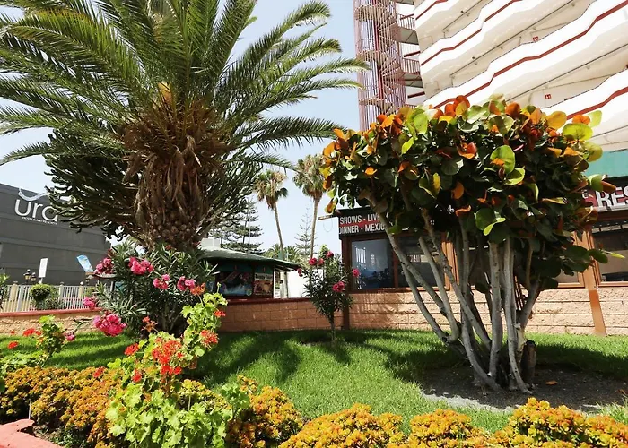 Agaete Parque: Vista Piscina * 普拉亚戴尔雷安格莱斯