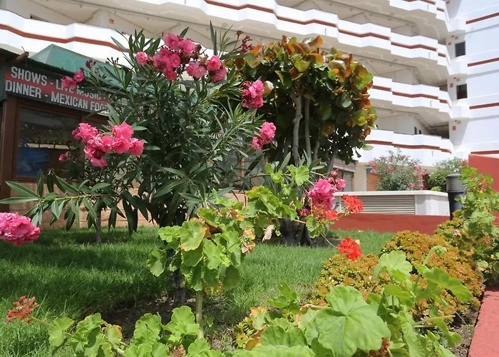 Agaete Parque: Vista Piscina * 普拉亚戴尔雷安格莱斯